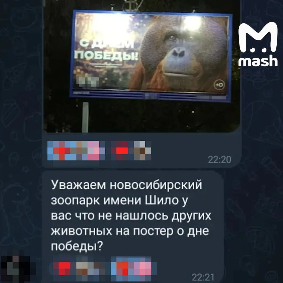 Фото: канал Mash в МАХ