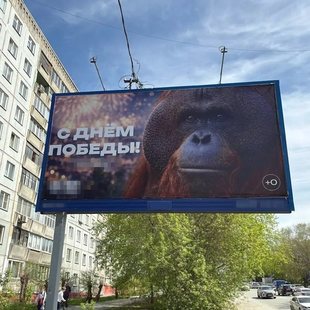 Фото: канал Mash в МАХ