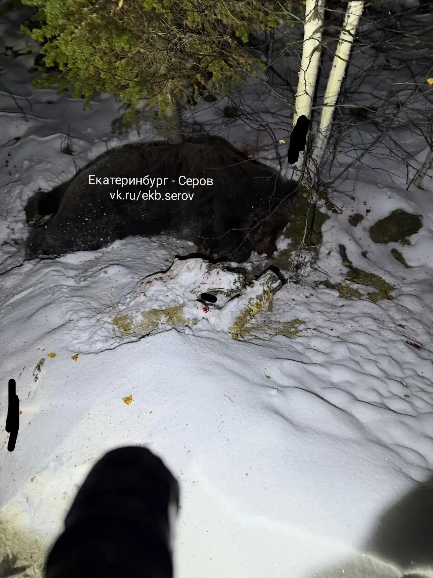 Фото: паблик «Екатеринбург - Серов» в МАХ