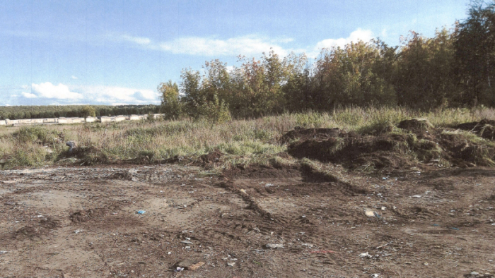 Очищенная от мусора территория под Каменском-Уральским. Фото: предоставлено регоператором ЕМУП «Спецавтобаза»