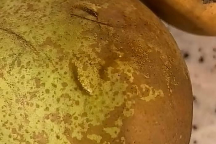 Фото: автора темы в паблике Привет Магнитовцы в соцсети ВКонтакте