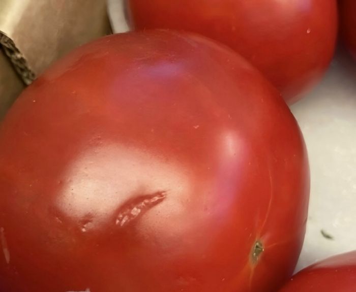 Фото: автора темы в паблике Привет Магнитовцы в соцсети ВКонтакте