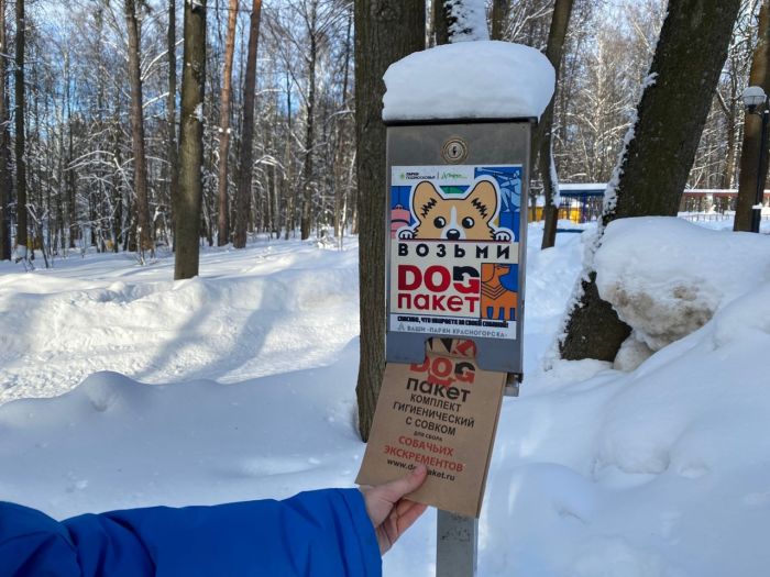 В подмосковном парке. Фото: Юлия Аверина/Uralweb.ru