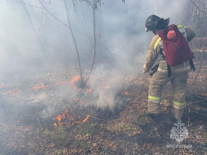 Единую дату начала пожароопасного сезона установили власти Свердловской области