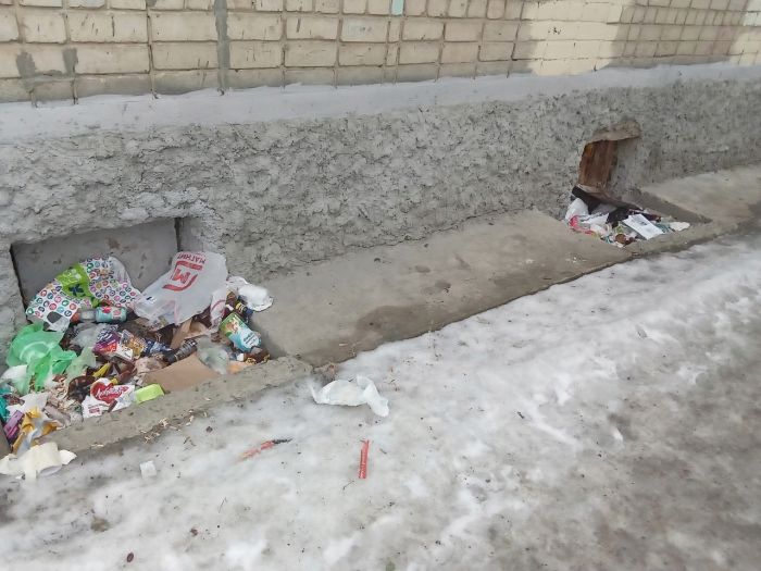 В Екатеринбурге жильцы по ксерокопиям документов вычислили соседку, завалившую дом мусором