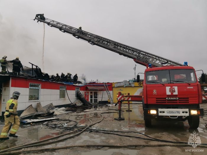 Фото: Telegram-канал МЧС Югры