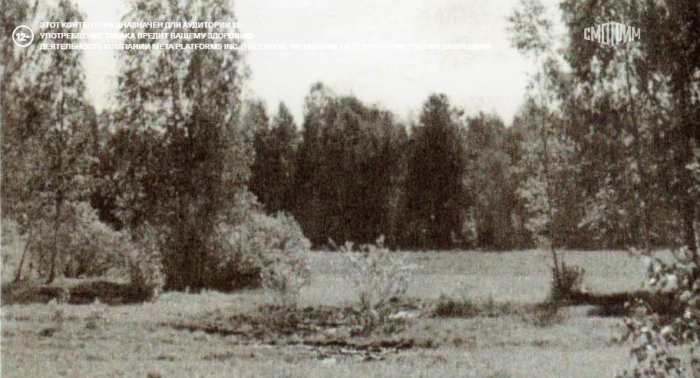 Закопав место обнаружения останков Авдонин с коллегами посадили на этом месте кусты. На тот момент это была единственная метка, которую они могли оставить. Фото: кадр фильма 