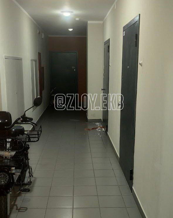 Фото: Telegram-канал «Злой Екатеринбург»