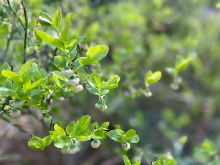 Фото: Марина Новокшонова/Uralweb