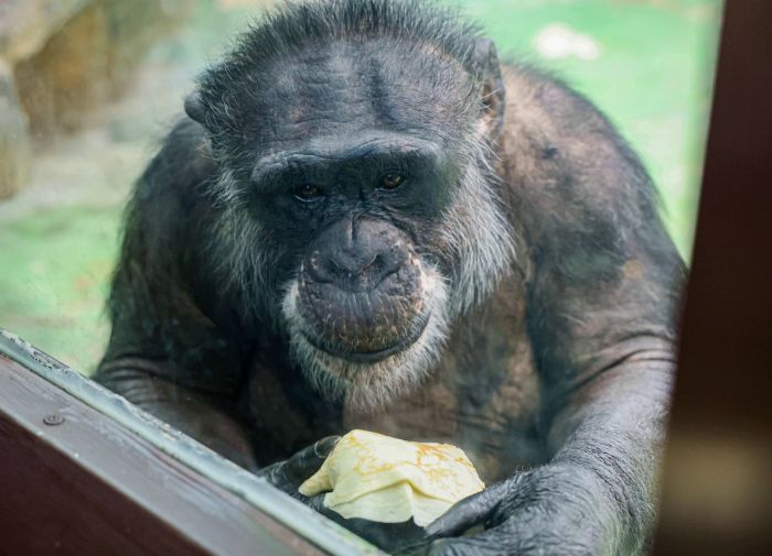 Фото: Екатеринбургский зоопарк