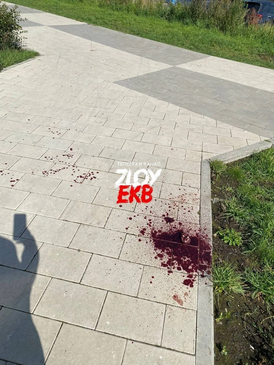 Фото: паблик «Злой Екатеринбург» в МАХ