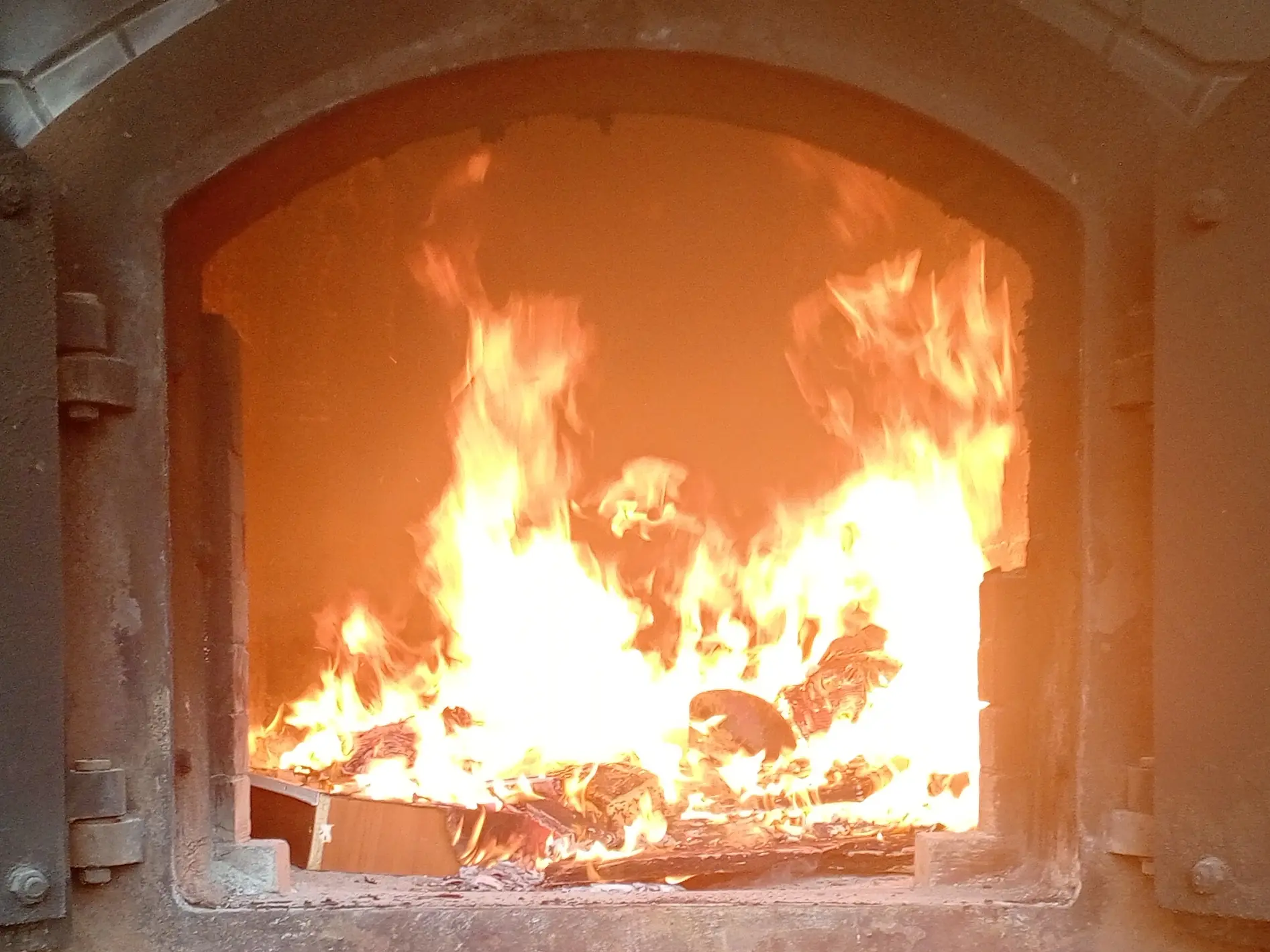 Фото: Уральское межрегиональное управление Россельхознадзора в МАХ