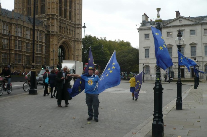 Протестующий против выхода Великобритании из состава ЕС перед Brexit. Фото: пользователя Киану08 из фотоальбомов Uralweb