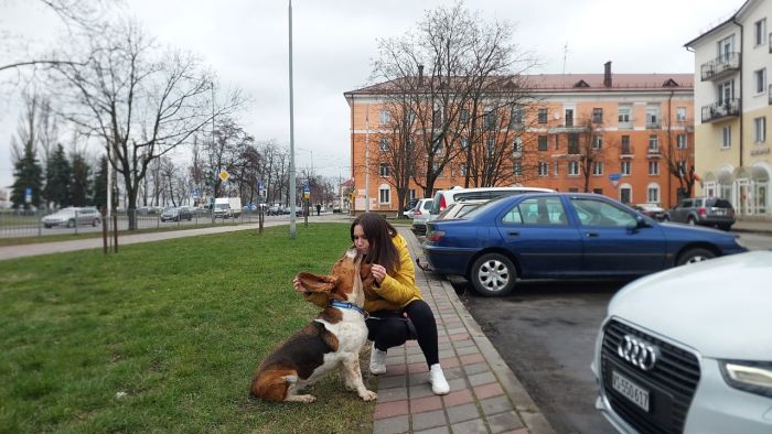 Собаку из приюта не пустили в ЕC из-за российского ветпаспорта