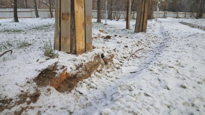Ствол дерева зашили в щиты, но корни подрубили. Фото: Facebook Владимир Злоказов