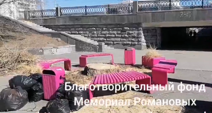 В Екатеринбурге общественники разругались из-за спиленного тополя