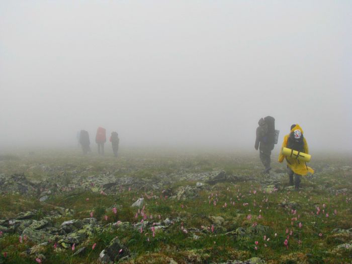 2008 год. Перевал Дятлова. Туман
