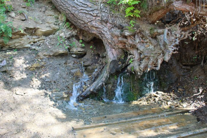 Истоки водопада Плакуна