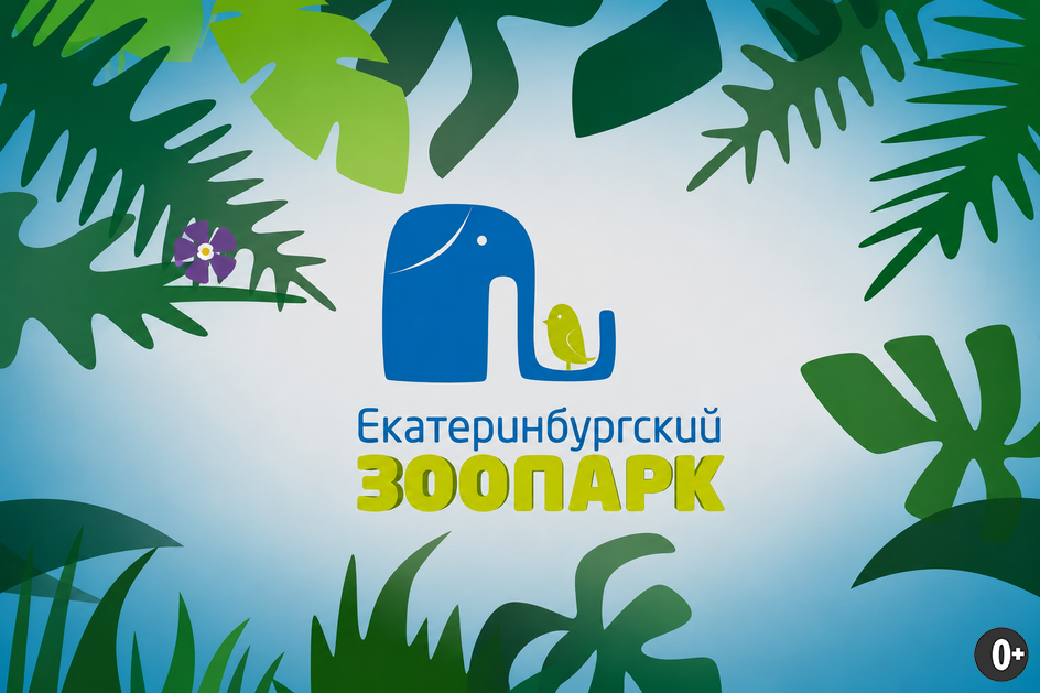 Источник: https://ekazoo.ru/