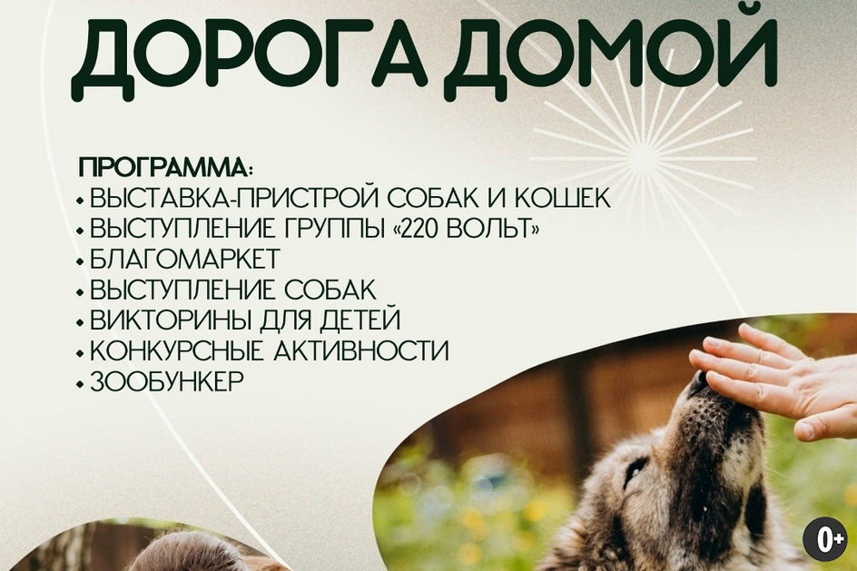 Источник: https://vk.ru/zoozahita