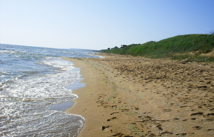 Пляж в Кучугурах. Июнь.