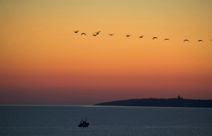 Азовское море