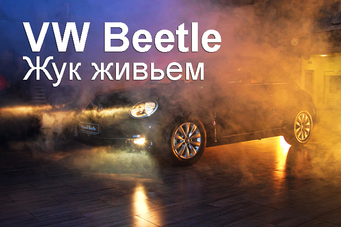 VW Beetle