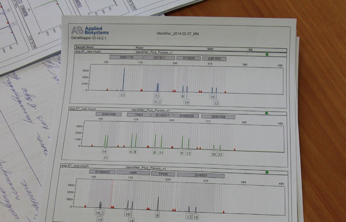 Так выглядит ДНК профиль