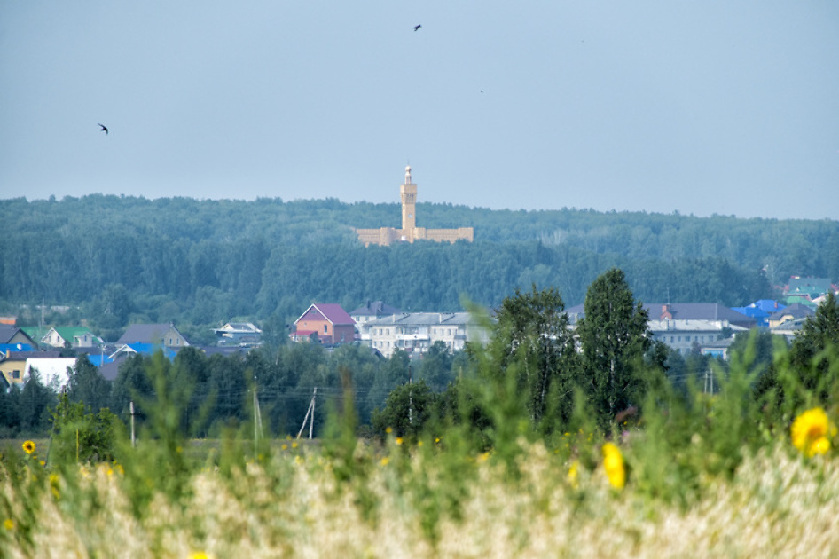 Проверено на Балтыме