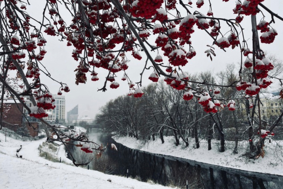 Выходные в Екатеринбурге: куда пойти 8 - 10 ноября