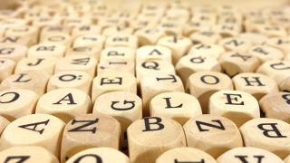 Проверено на английском: готов ли общепит к встрече гостей ЧМ