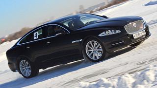 Jaguar: кошки на льду