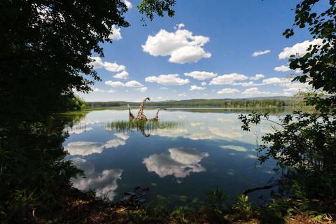 Куда поехать на выходные из Екатеринбурга. Знакомимся с ленд-артом на Сунгуле