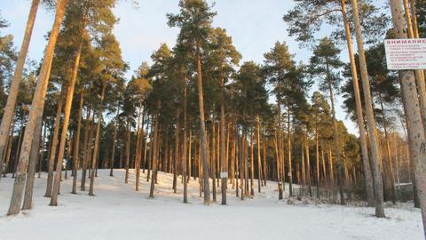 Лыжные базы Екатеринбурга