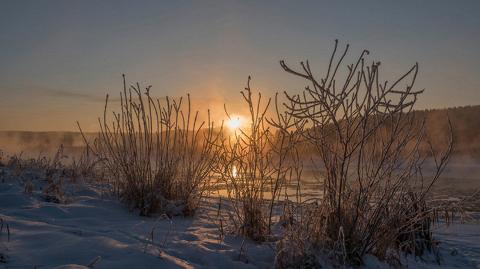 ТОП-10 фотографий в фотоальбомах Uralweb.ru за 2018 год