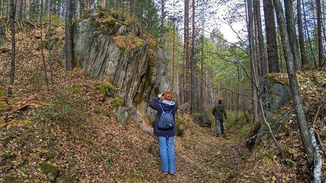 Оброшинский лесопарк