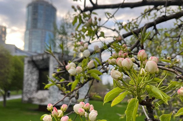 Выходные в Екатеринбурге: куда пойти 8 - 11 мая