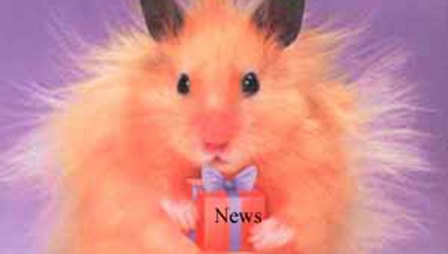 Новостной беспредел