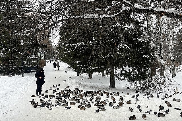Выходные в Екатеринбурге: куда пойти 20 - 23 февраля
