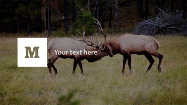 Для общего блога