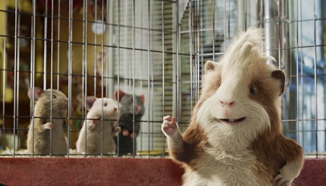 Миссия Дарвина