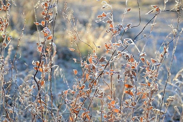 Выходные в Екатеринбурге: 31 октября - 1 ноября