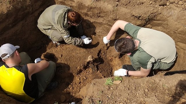 Как находят солдат под Сталинградом