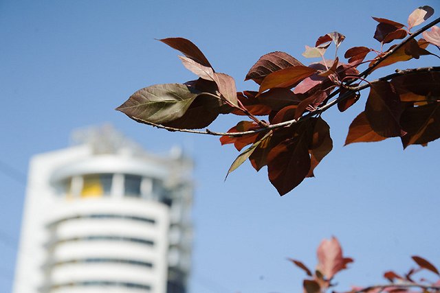 Выходные в Екатеринбурге: 20 августа – 22 августа