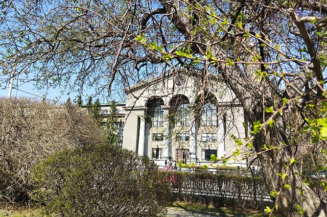 Выходные в Екатеринбурге: куда пойти 1 - 4 мая