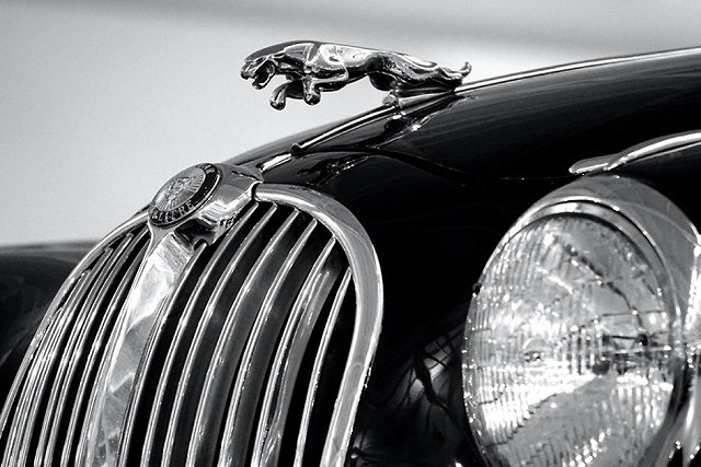 По первому снегу