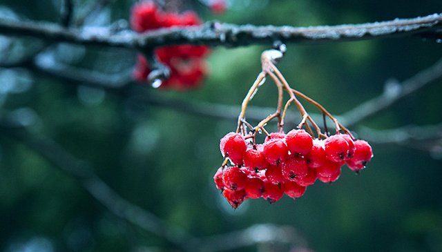 Выходные в Екатеринбурге: 22 – 23 октября