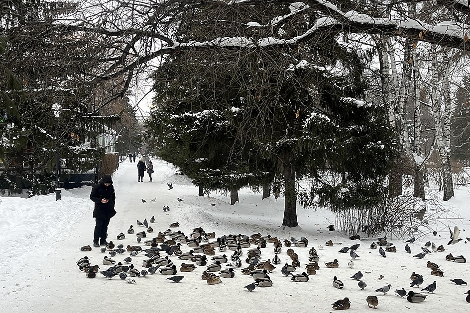 Выходные в Екатеринбурге: куда пойти 20 - 23 февраля