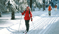 Лыжные тренировки в рамках Школы туризма